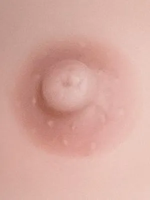 米色